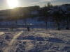 P1010415.jpg, 83 kB
